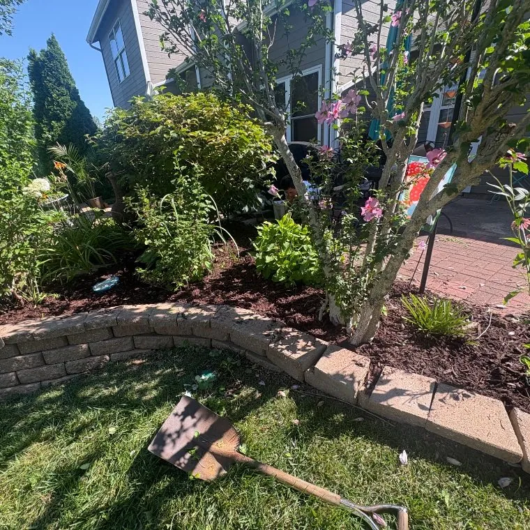 The same border bed after fresh dark mulch, Wentzville